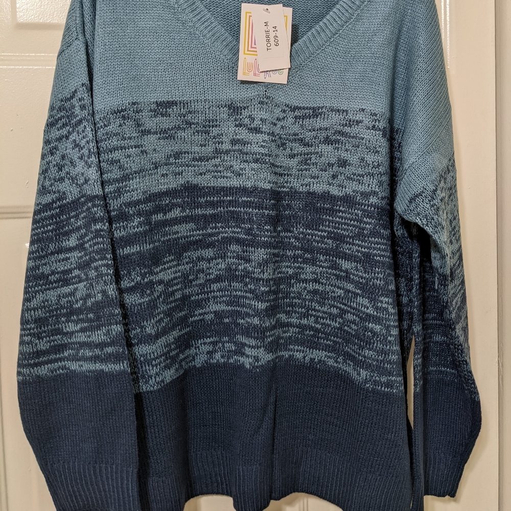 LuLaRoe Torrie V neck Sweater